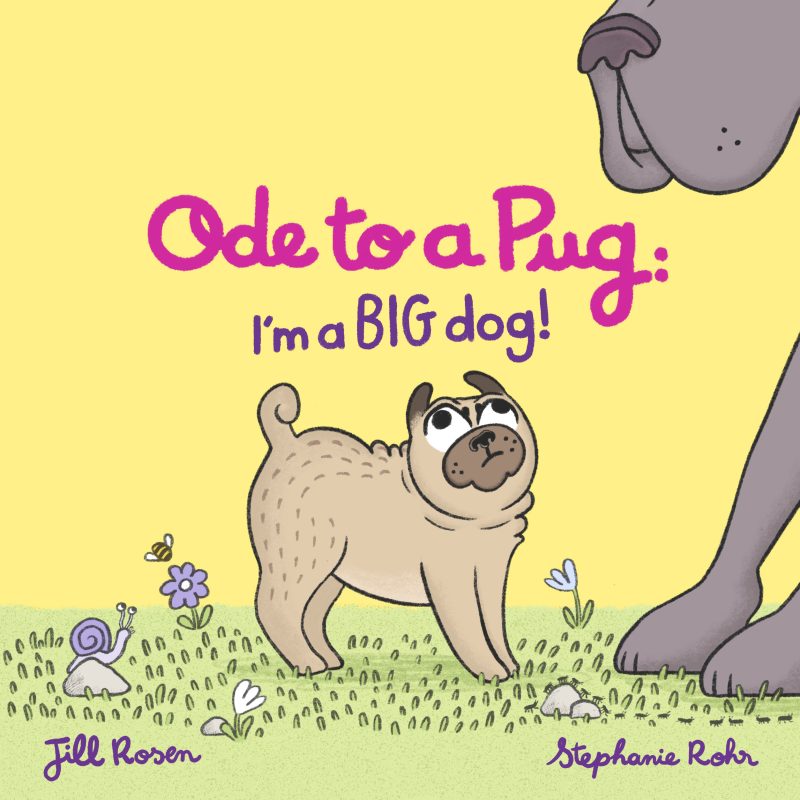 Ode à un carlin : je suis un GROS chien ! Visite guidée et cadeau